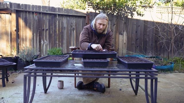 Starting Seeds Indoors in Trays: COMPLETE Beginner's Guide with Step-by-Step Demonstrations смотреть онлайн