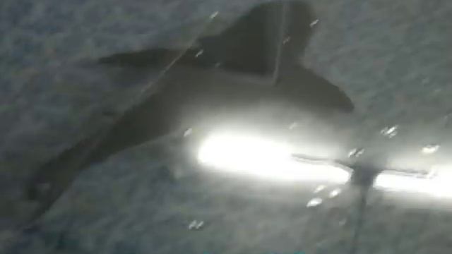 robot shark смотреть онлайн