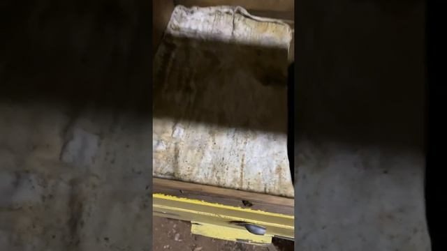 9.01.2021 омшаник смотреть онлайн