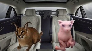 Шлёпа и Бингус против Зомби 🧟♂️4 Серия😺🐈