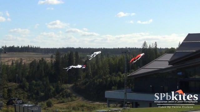 Igora SkyQuest Festival 2015 смотреть онлайн