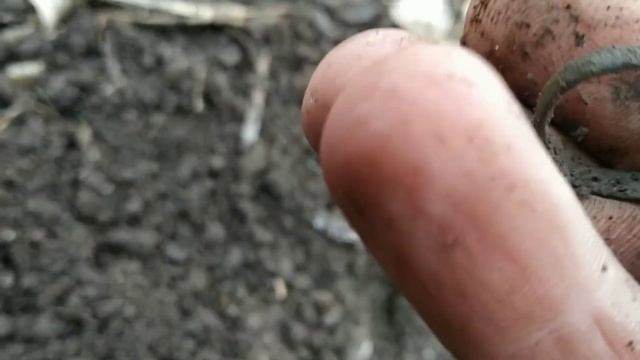 капнул пару часов на выбитом поле смотреть онлайн