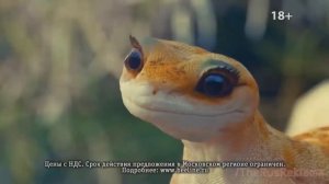 RYTP | Правильная реклама 3