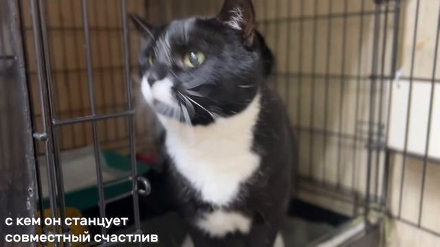 ТВИСТ смотреть онлайн