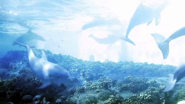 ULTRASONIC смотреть онлайн