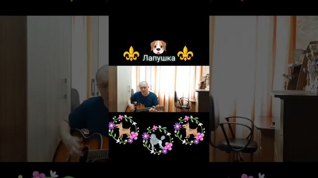 Лапушка Автор и исполнитель: Владимир Курочкин смотреть онлайн