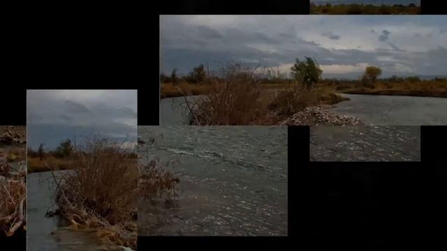 Джамбул_Taraz смотреть онлайн