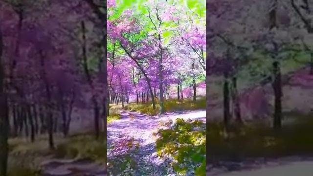 Планета Пандора!