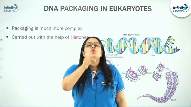 Molecular Basis of Inheritance - L3- Packaging of DNA helix смотреть онлайн