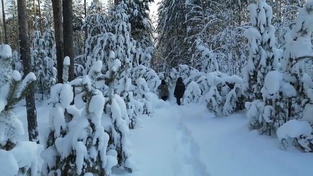 28 января 2024 г. смотреть онлайн