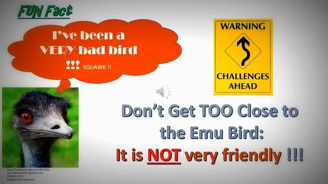 Total Life Changes Scam|Iaso Emu Oil Experiment|Skin|Review|Cure смотреть онлайн