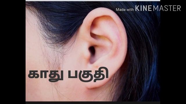 How to Clean Your Body| தமிழ்| Health care| Health Tips| hand wash| Good Habibts смотреть онлайн
