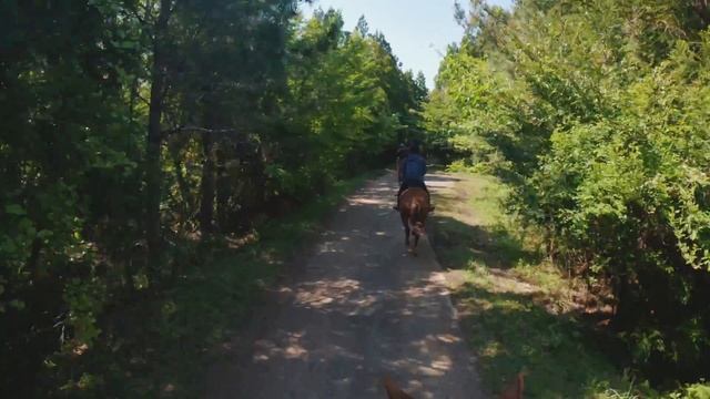 [4K] SAP Horse Riding,Only Riding Version - by Jaewoo Kim (Jeju Island - 제주, 외승,Gopro Hero 11 Black смотреть онлайн