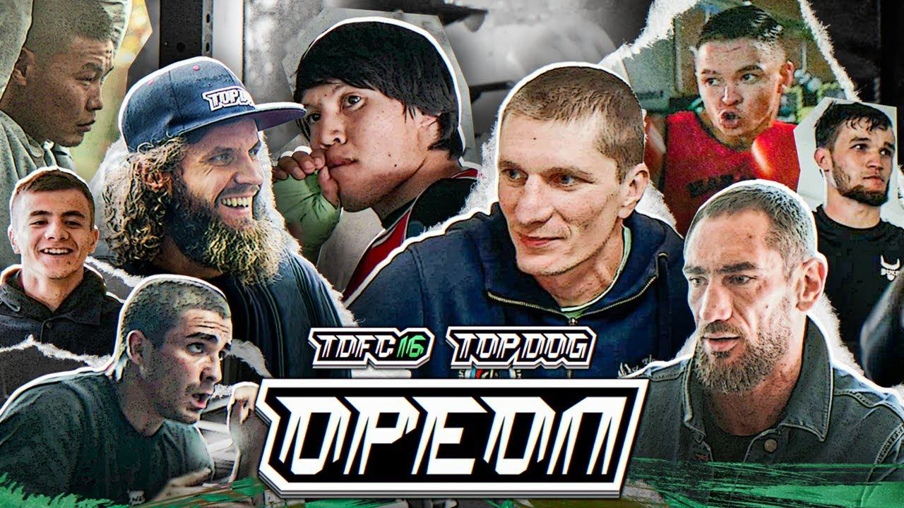 TDFC 16: Ореол | Адос vs. Погодин, Торнадо - Хан, Варвар - Веном, Басмач - Терехов смотреть онлайн