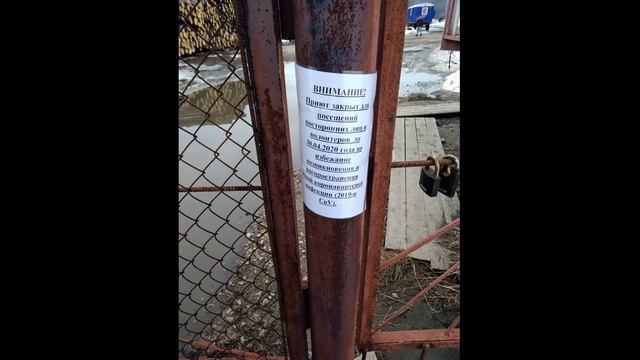 И КТО ТУТ СОБАКА?! смотреть онлайн