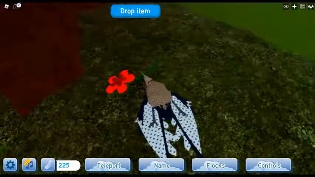 Confuciusornis Male Feather Family