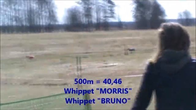 Maksligais zakis Ventspils nov , Rinda , 09 04 2017. смотреть онлайн