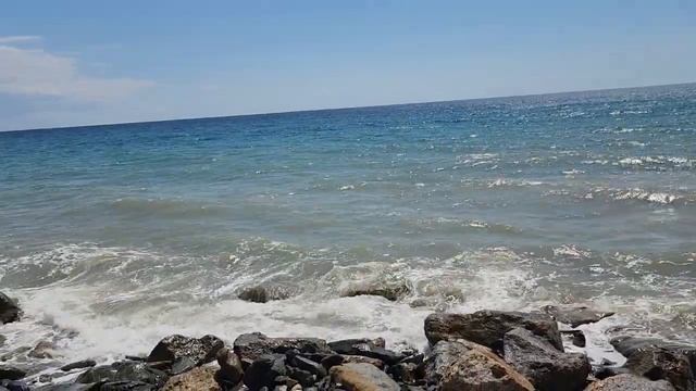 Столько дельфинов и так близко я ещё не видел смотреть онлайн