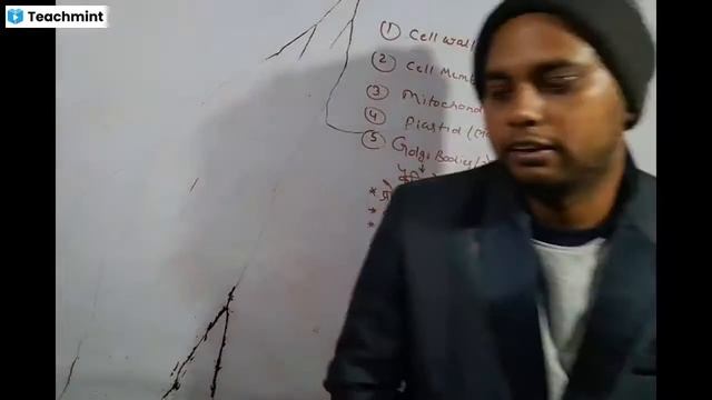 BIOLOGY-#plastid,golgibody,ribososomes,lysosomes смотреть онлайн