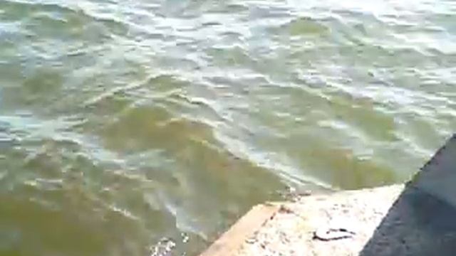 мега нырок смотреть онлайн