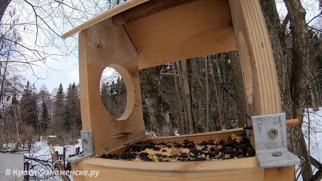 Движуха в парке ٩(◕‿◕)۶ смотреть онлайн