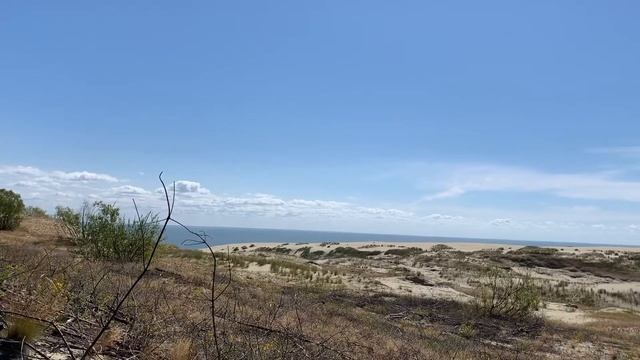 2020_Куршская коса_Высота Эфа смотреть онлайн