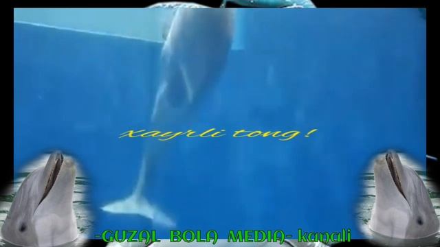 Хайрли тонг! Ажаб сирлар... смотреть онлайн