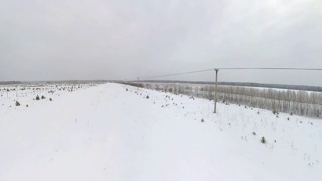 4442187 смотреть онлайн