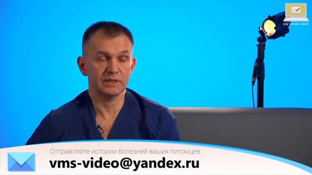 Ваш случай в прямом эфире 4 смотреть онлайн