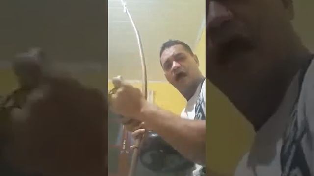 CANTO Pavao Verde escuraGOiania смотреть онлайн