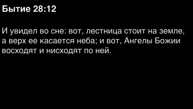 Бытие, глава 28