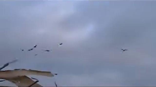 Одноклассники3.flv смотреть онлайн