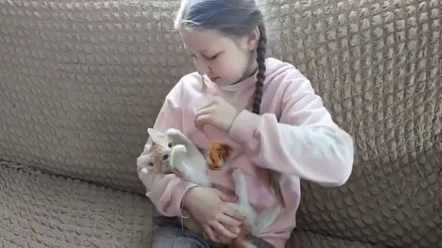 Мой котенок "Кузька" смотреть онлайн