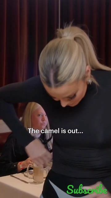 Camille The camel #kourtneykardashian #kyliejenner #kendalljenner #shortsvideo #shortsfeed #kuwtk смотреть онлайн