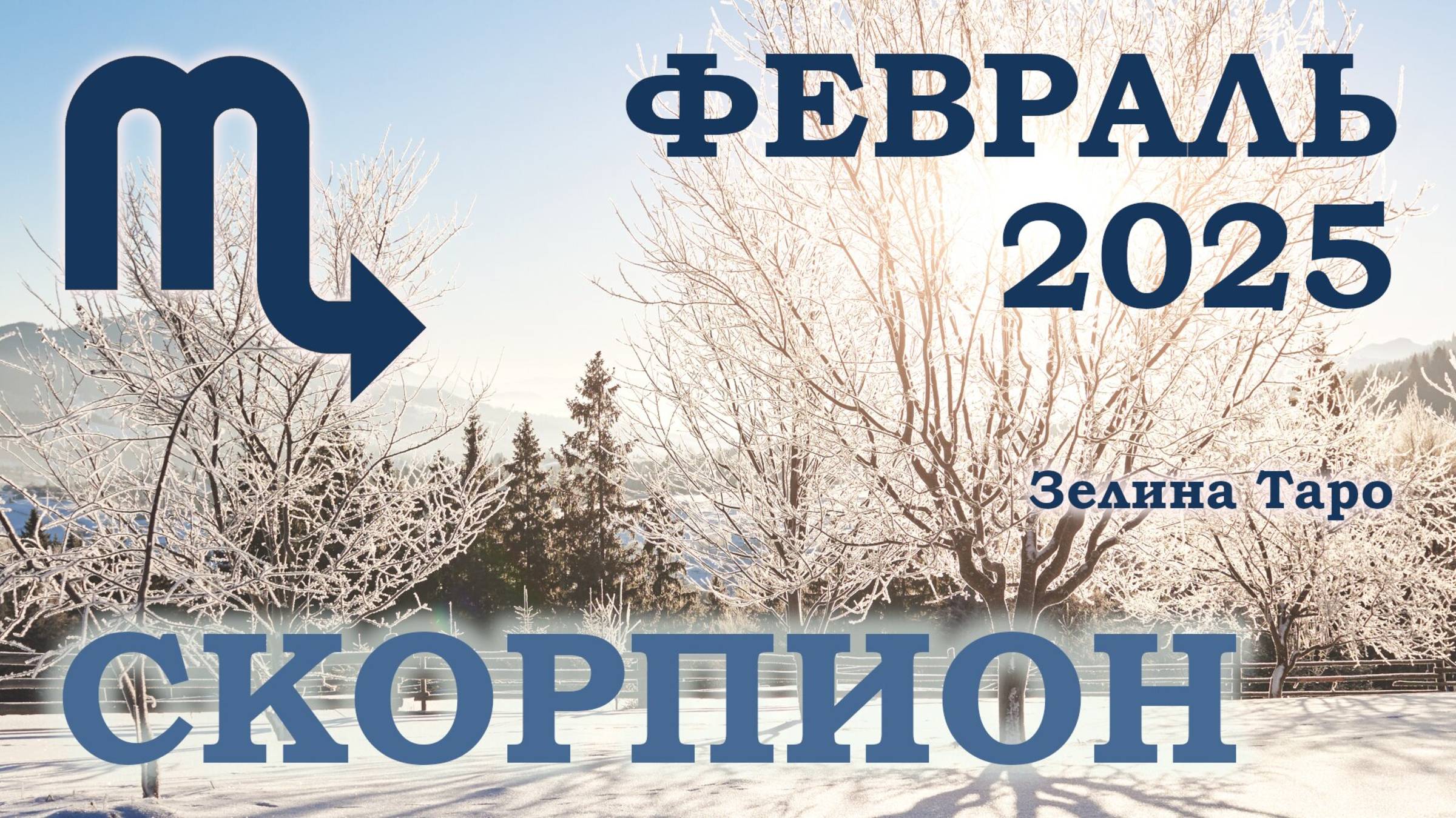 СКОРПИОН | ТАРО прогноз на ФЕВРАЛЬ 2025 года | Желание | Расклад таро | Таро онлайн смотреть онлайн