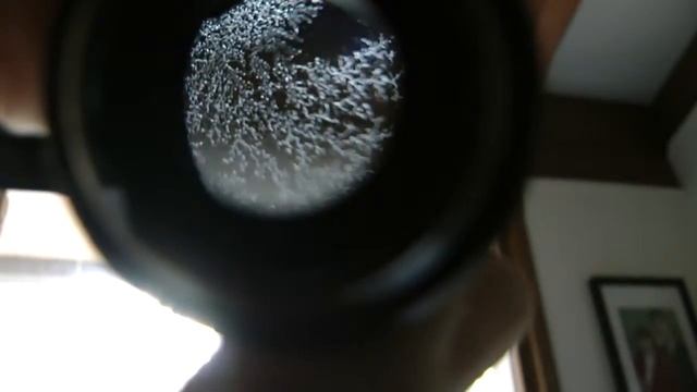 C mount lens with fungus смотреть онлайн