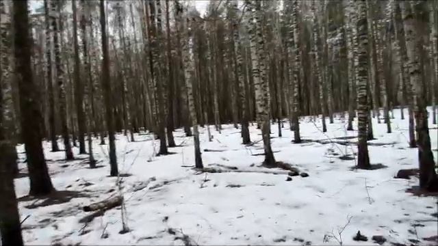 Гуляем с Лари...2 января...С Новым Годом!!!...Всем мира и добра!!! смотреть онлайн