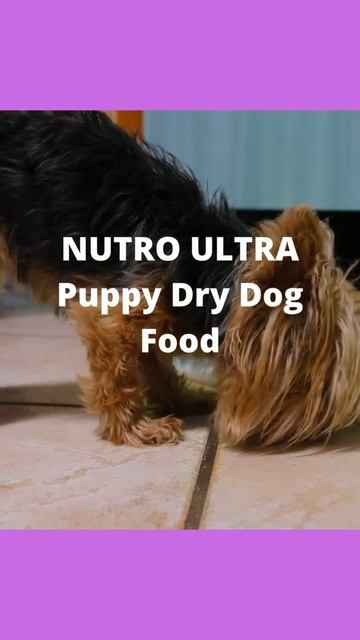 NUTRO ULTRA Puppy Dry Dog Food #shorts #NUTRO #DogFood смотреть онлайн