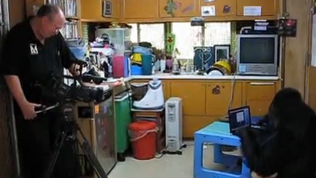 Koko "types" while Ron films смотреть онлайн