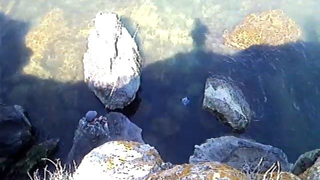 SNC00094 смотреть онлайн