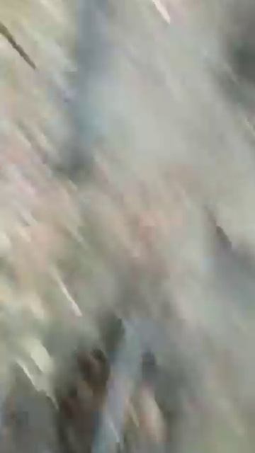 Брак проходных капканов Тонар . смотреть онлайн