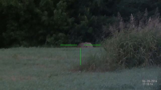 Coyote 6 28 2016 ATN X Sight 2 3 14 смотреть онлайн