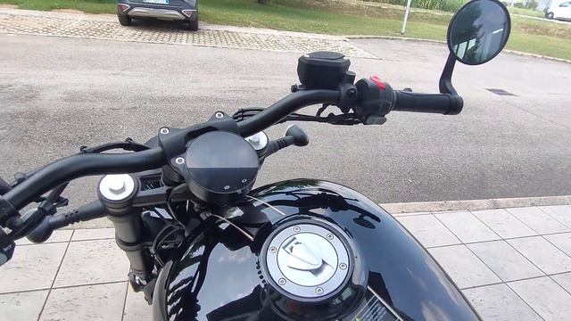 Benda Chinchilla' 500