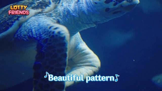 Sea turtle🐢| Kids Songs & Educational Songs | For Kids | Sea Animal Song | Lotty Friends смотреть онлайн