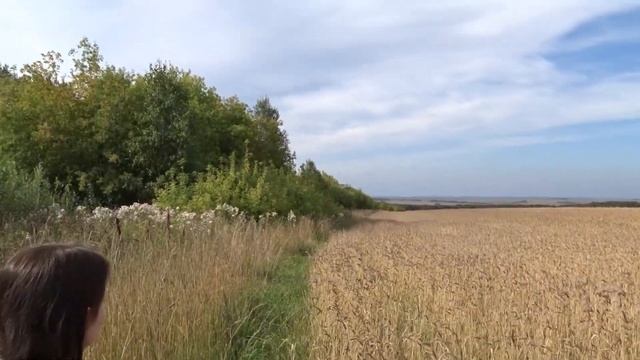 Выпуск канюка 2-2019(11) смотреть онлайн
