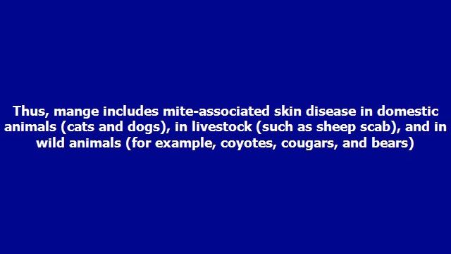 ear mite treatment for cats смотреть онлайн
