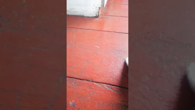 синичку жалко смотреть онлайн