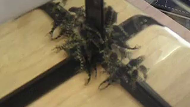 L340 youngsters смотреть онлайн