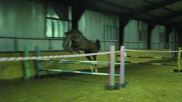 Рыж дурбесничает)))) смотреть онлайн