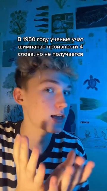 Почему обезьяны не разговаривают ?? смотреть онлайн